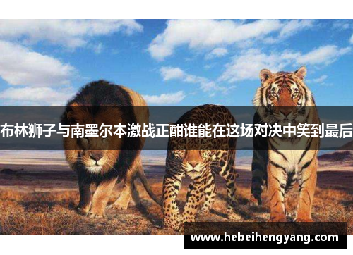 布林狮子与南墨尔本激战正酣谁能在这场对决中笑到最后